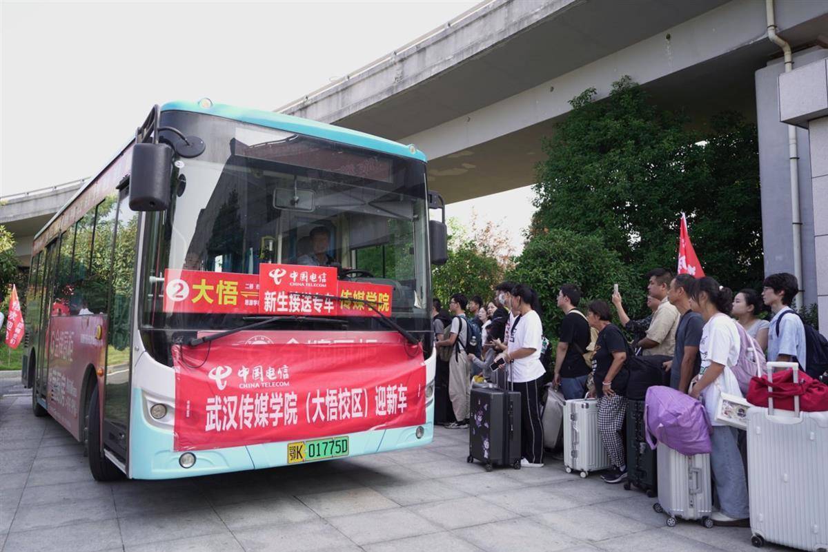 电游平台官网